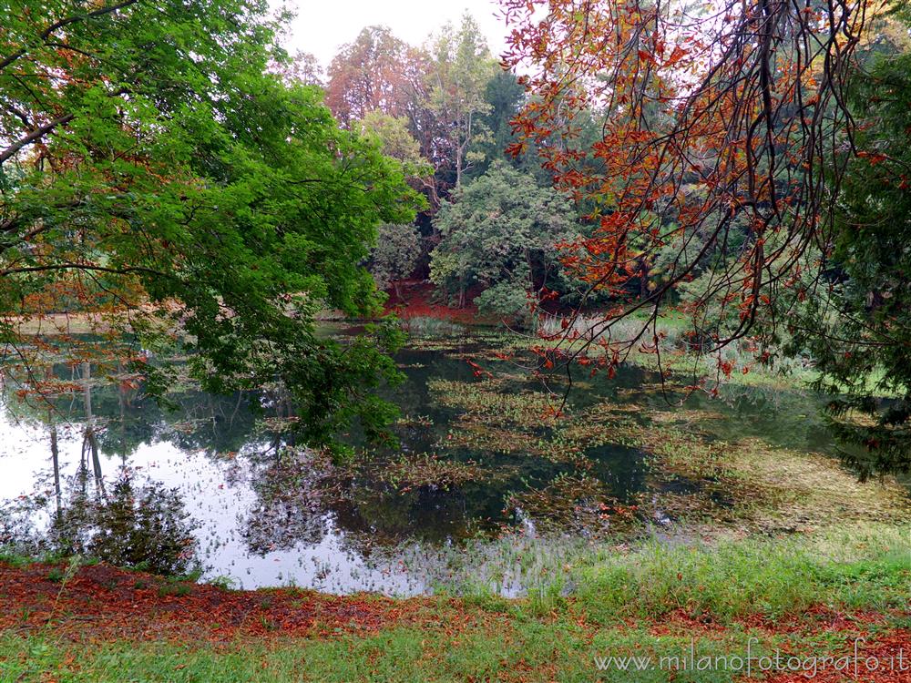 Sirtori (Lecco, Italy) - The pond of the park of Villa Besana at the beginning of autumn